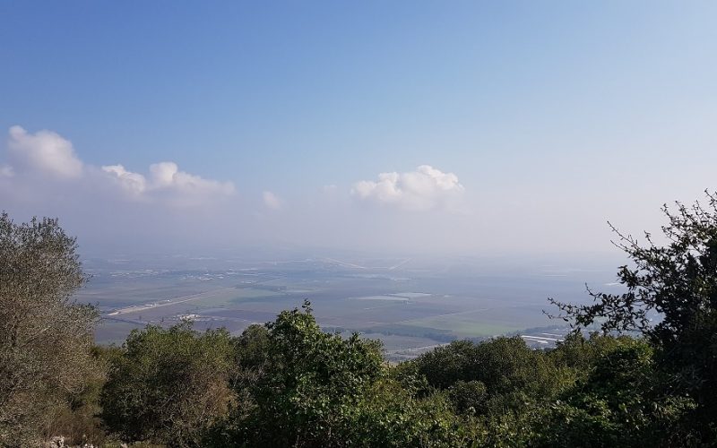 יער קרן הכרמל – שביל המערות וחורבת חרמש