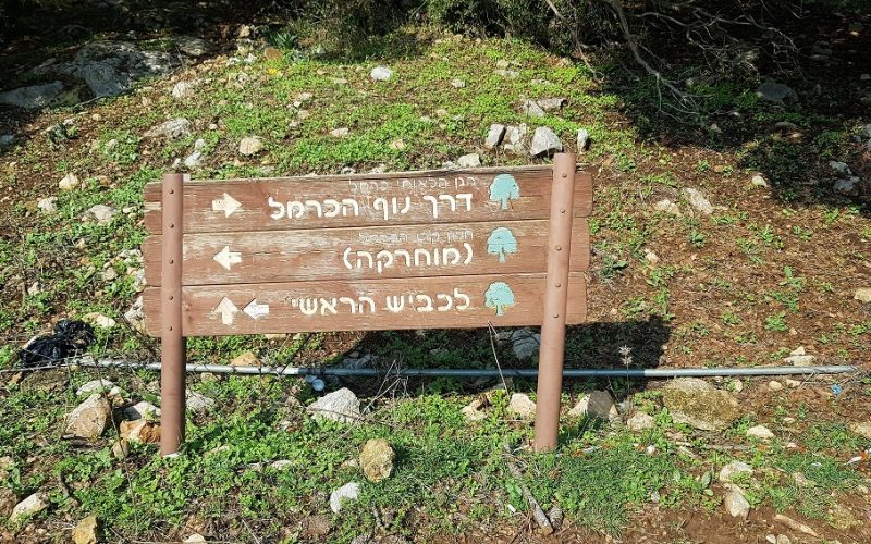 יער קרן הכרמל – שביל המערות וחורבת חרמש