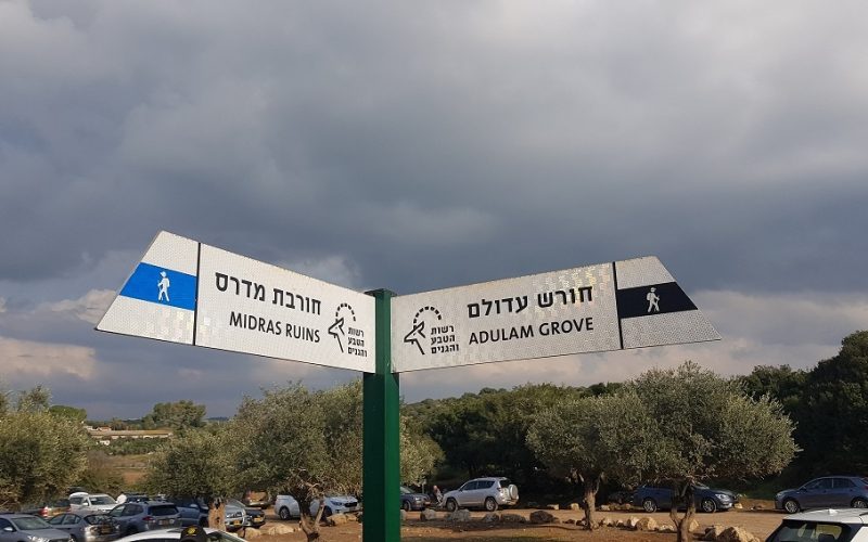 חרבת מדרס פארק עדולם צרפת