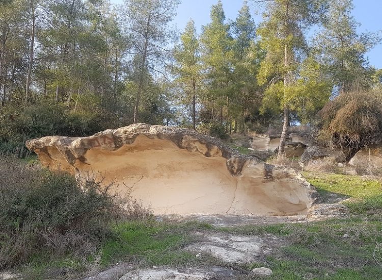 פארק בריטניה