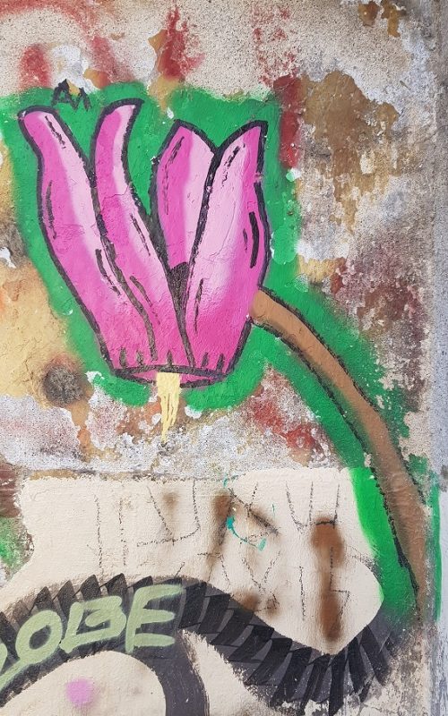 עין ג'ונס והמרחצאות הרומיים סמוך לחמת גדר