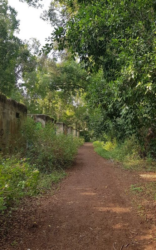 עין ג'ונס והמרחצאות הרומיים סמוך לחמת גדר