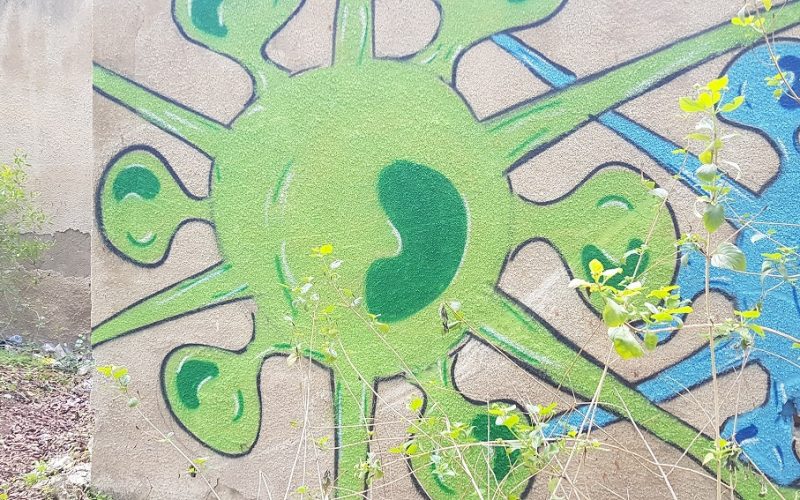 עין ג'ונס והמרחצאות הרומיים סמוך לחמת גדר