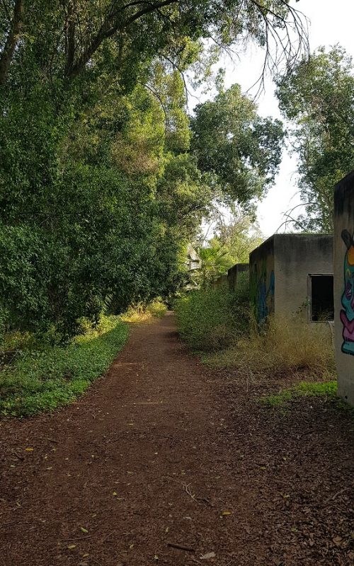 עין ג'ונס והמרחצאות הרומיים סמוך לחמת גדר