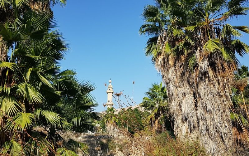 עין ג'ונס והמרחצאות הרומיים סמוך לחמת גדר