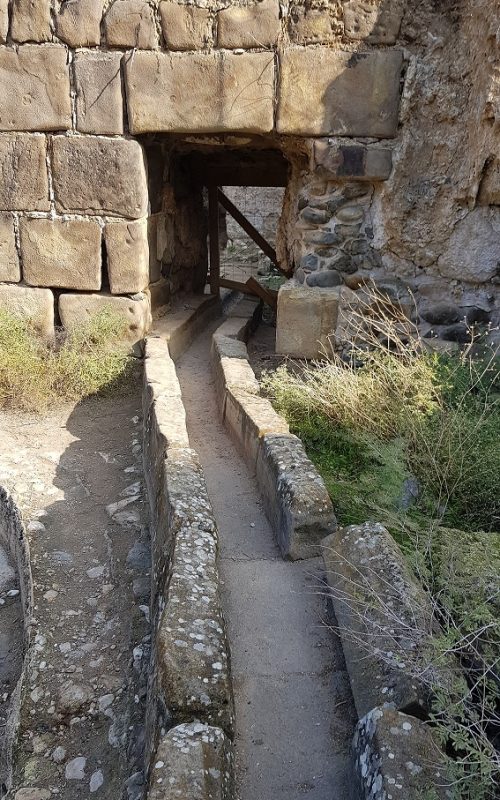 עין ג'ונס והמרחצאות הרומיים סמוך לחמת גדר