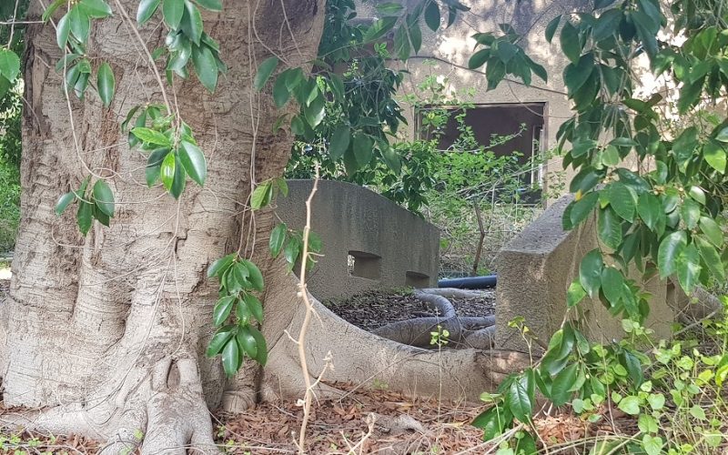 עין ג'ונס והמרחצאות הרומיים סמוך לחמת גדר