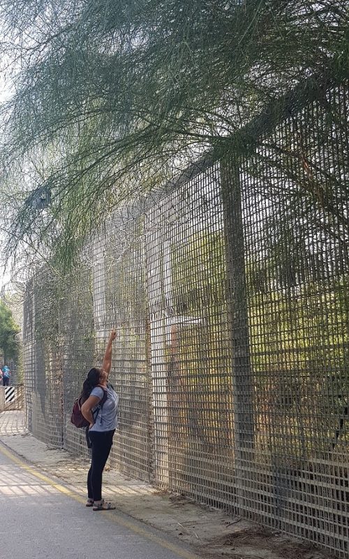 עין ג'ונס והמרחצאות הרומיים סמוך לחמת גדר