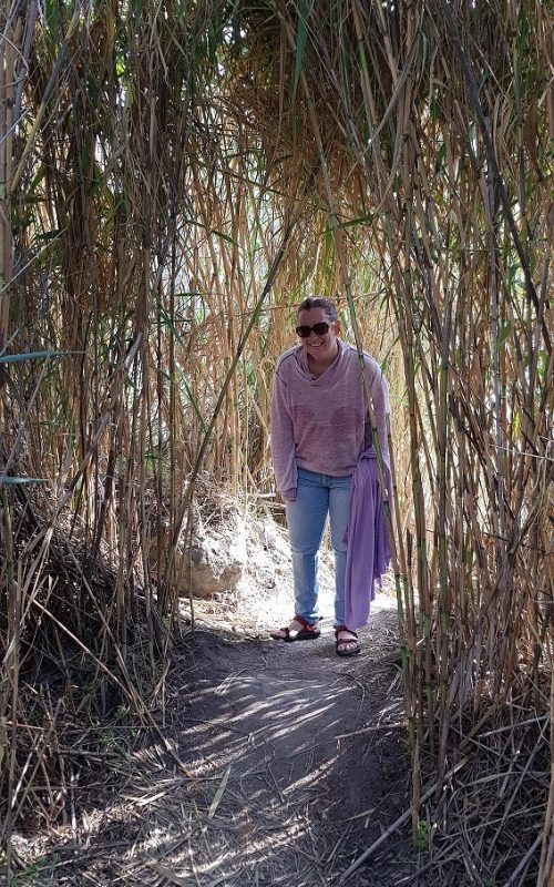 עין ג'ונס והמרחצאות הרומיים סמוך לחמת גדר