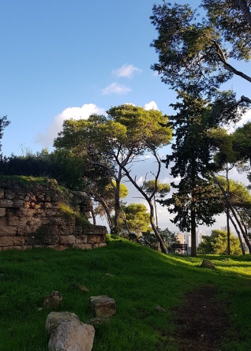 מבצר ראש מיה – נקודת תצפית בלב העיר חיפה