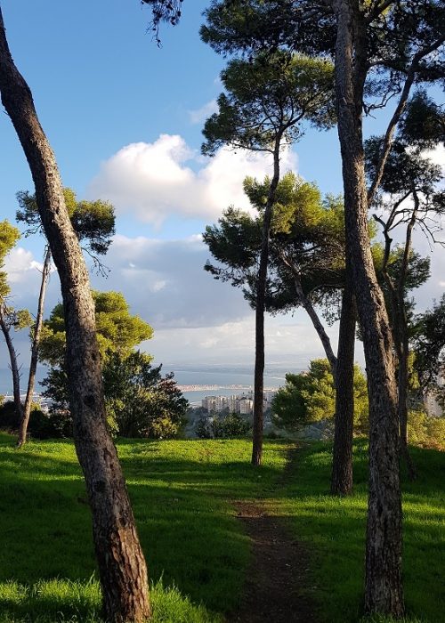 מבצר ראש מיה – נקודת תצפית בלב העיר חיפה