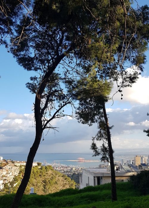 מבצר ראש מיה – נקודת תצפית בלב העיר חיפה