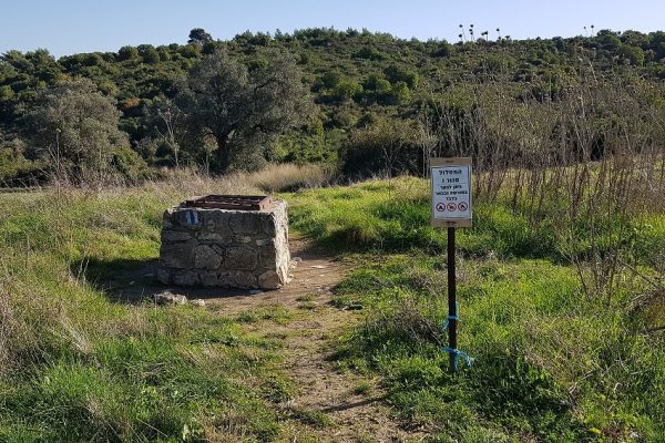 מסלול בחורשת הארבעים ומצוקי הארבעים – פארק הכרמל