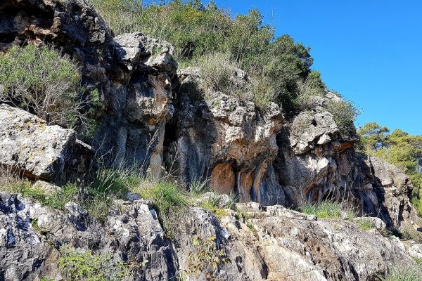 מסלול בחורשת הארבעים ומצוקי הארבעים – פארק הכרמל