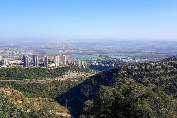 מסלול בחורשת הארבעים ומצוקי הארבעים – פארק הכרמל