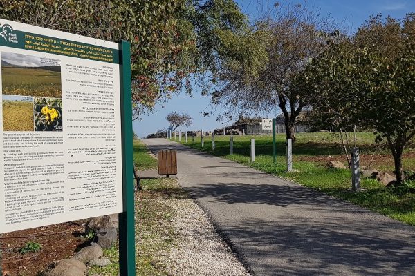 גן לאומי כוכב ירדן