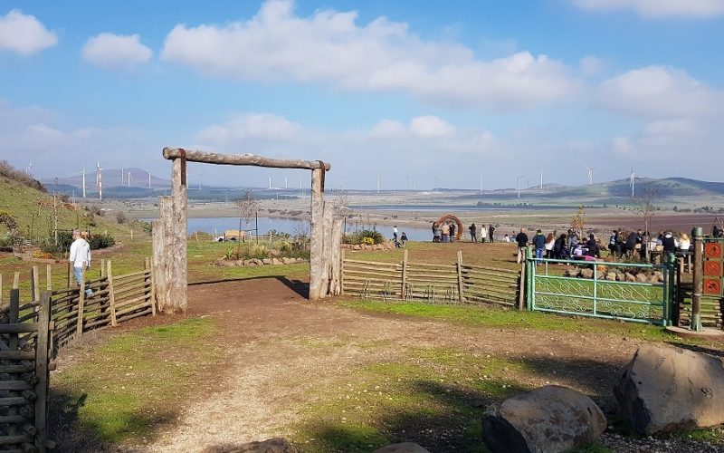 קיבוץ מרום גולן – תצפית מאגר בנטל וחוות הסוסים