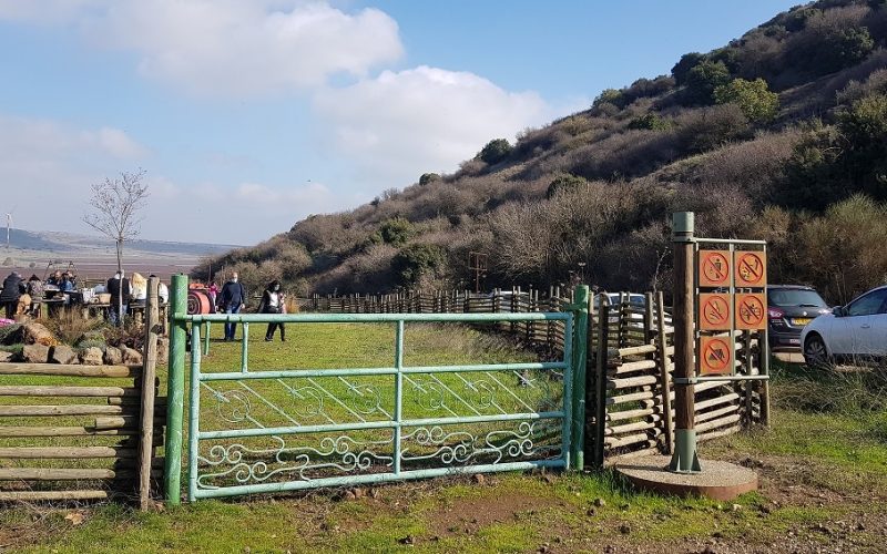 קיבוץ מרום גולן – תצפית מאגר בנטל וחוות הסוסים