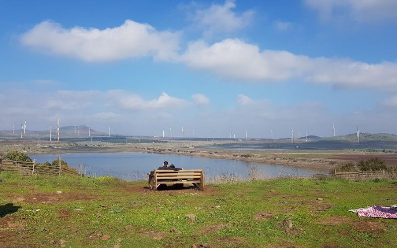 קיבוץ מרום גולן – תצפית מאגר בנטל וחוות הסוסים