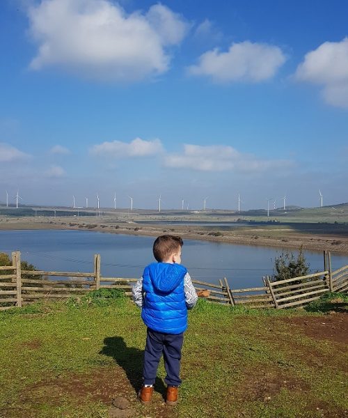 קיבוץ מרום גולן – תצפית מאגר בנטל וחוות הסוסים