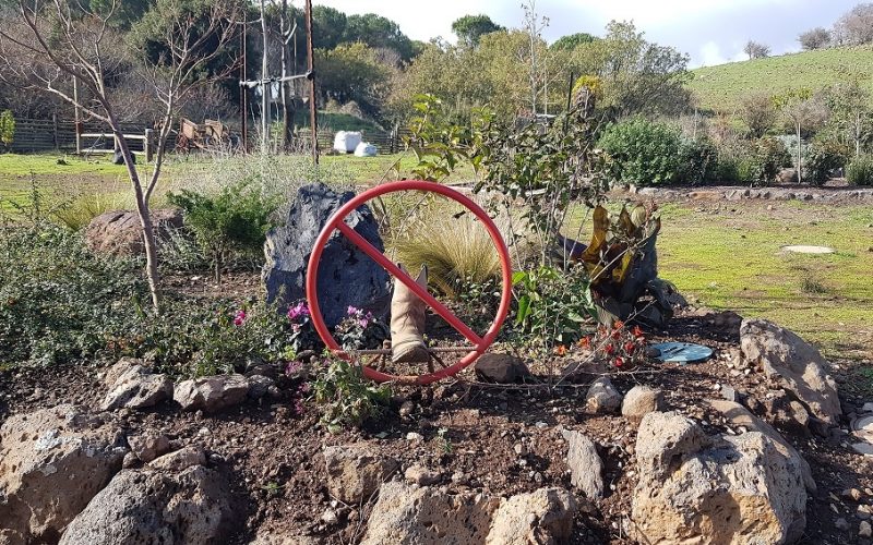 קיבוץ מרום גולן – תצפית מאגר בנטל וחוות הסוסים