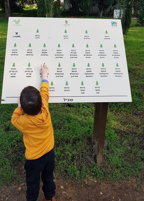 יער האילנות – גן בוטני יערני (ארבורטום) ומרכז מבקרים