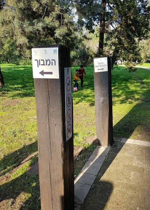 יער האילנות – גן בוטני יערני (ארבורטום) ומרכז מבקרים