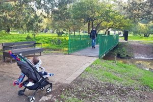 יער האילנות – גן בוטני יערני (ארבורטום) ומרכז מבקרים