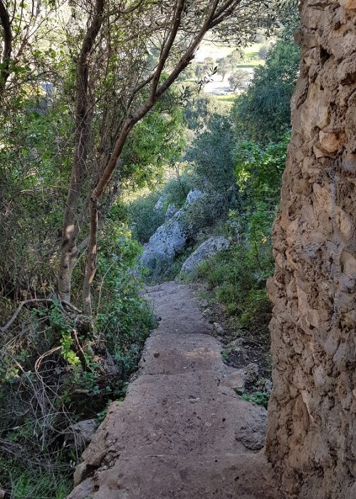 רכס אצבע ומערת אצבע בפארק הכרמל