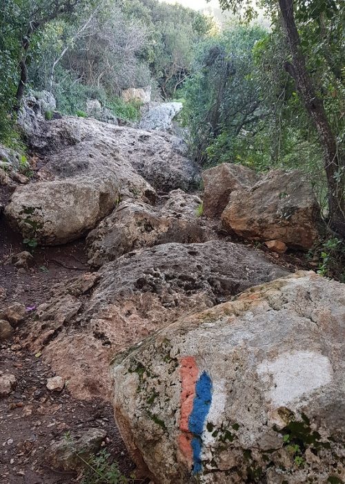 רכס אצבע ומערת אצבע בפארק הכרמל