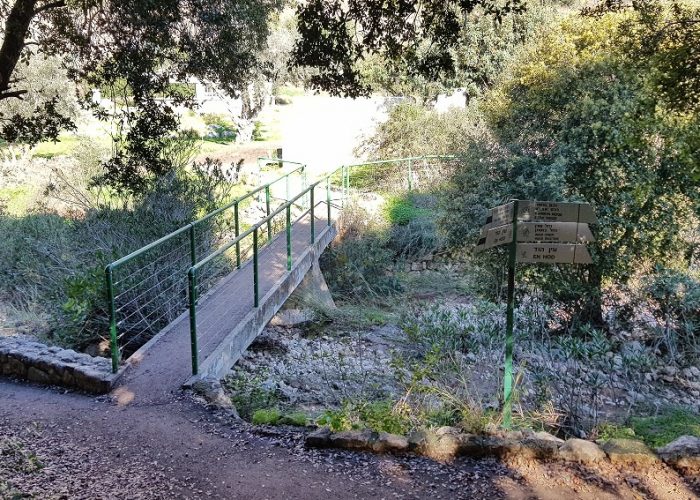 רכס אצבע ומערת אצבע בפארק הכרמל