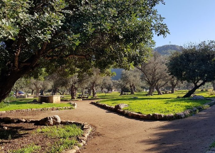 רכס אצבע ומערת אצבע בפארק הכרמל