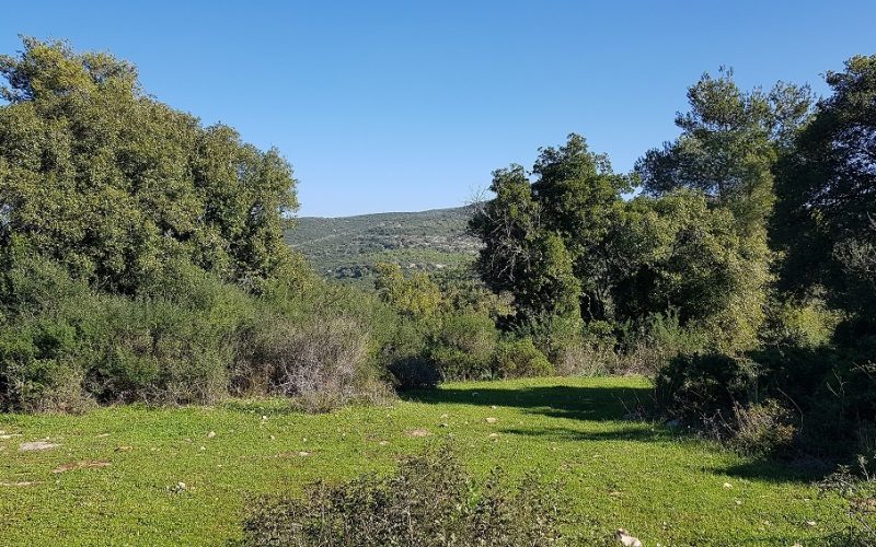 מסלול לחורבת רקית ותצפית הר שוקף – גן לאומי פארק הכרמל