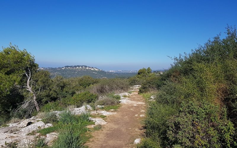 מסלול לחורבת רקית ותצפית הר שוקף – גן לאומי פארק הכרמל