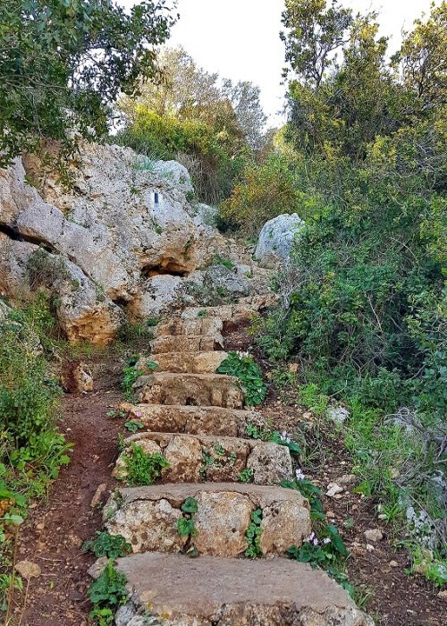 רכס אצבע ומערת אצבע בפארק הכרמל