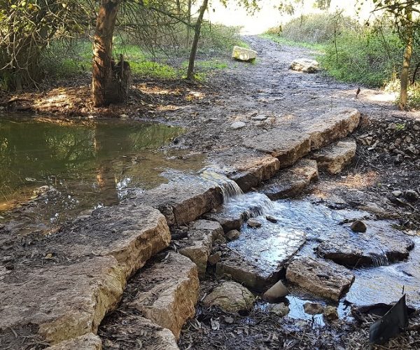 מסלול נחל גחר עליון בפארק רמת מנשה