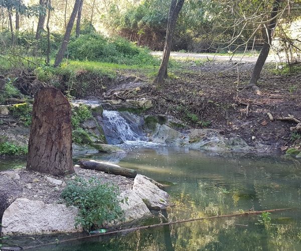 מסלול נחל גחר עליון בפארק רמת מנשה