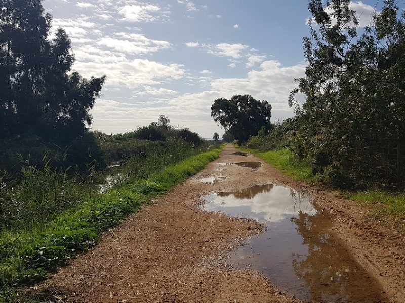 מסלול שביל נחל נעמן