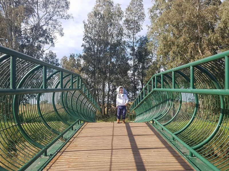 מסלול שביל נחל נעמן