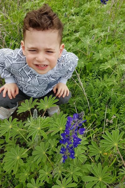 6 מקומות שתוכלו לראות את פריחת התורמוסים בטבע