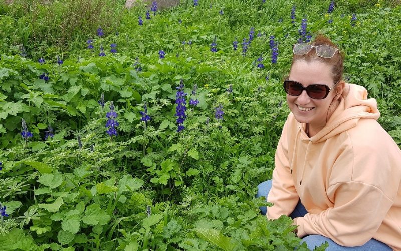 6 מקומות שתוכלו לראות את פריחת התורמוסים בטבע