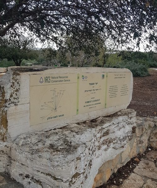 תצפית על בקעת נטופה בדרך נוף הר תורען