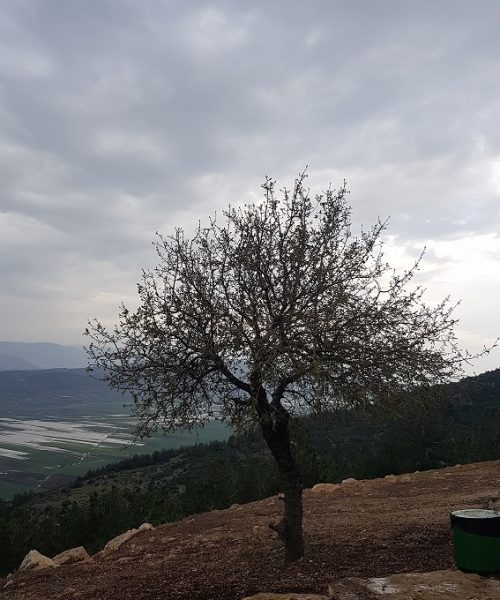 תצפית על בקעת נטופה בדרך נוף הר תורען