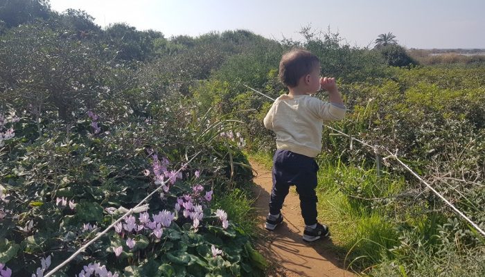 גבעת הפרחים בין מעגן מיכאל לפארק מעיין הצבי – רכס כורכר