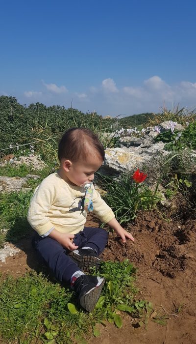 גבעת הפרחים בין מעגן מיכאל לפארק הדייג מעיין הצבי – רכס כורכר