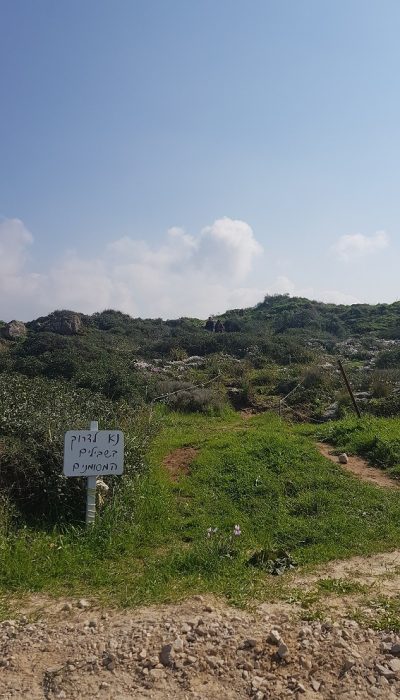 גבעת הפרחים בין מעגן מיכאל לפארק הדייג מעיין הצבי – רכס כורכר
