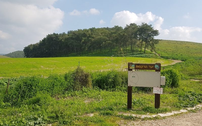 גבעת הרקפות רמות מנשה