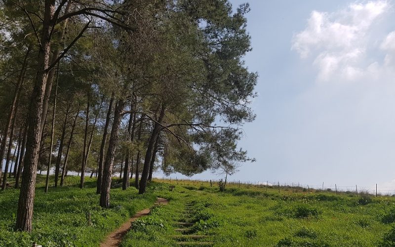 גבעת הרקפות רמות מנשה