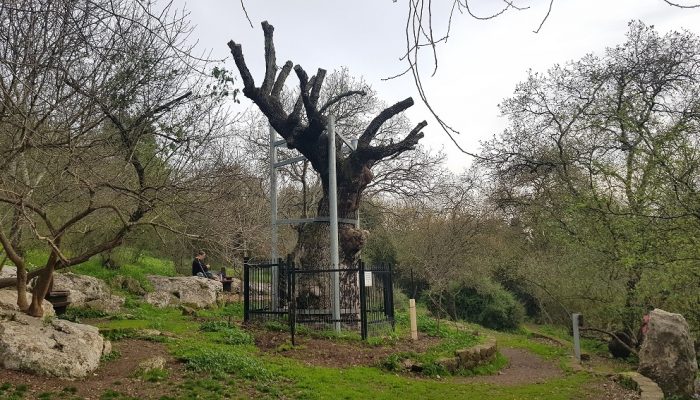 שביל אילן – אתר הנצחה לזכר אילן גבאי