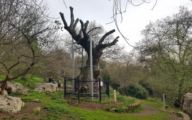 שביל אילן – אתר הנצחה לזכר אילן גבאי